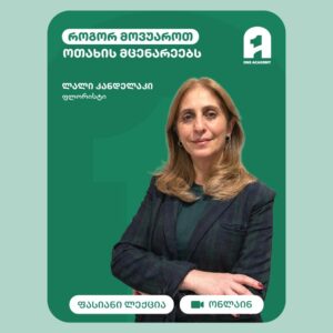 ოთახის მცენარეების მოვლა