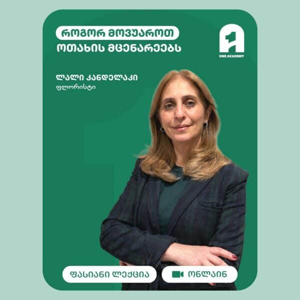 ოთახის მცენარეების მოვლა