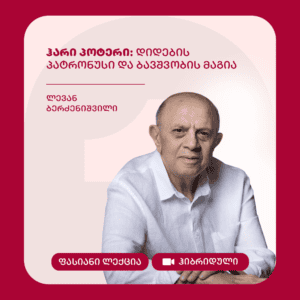 ჰარი პოტერი: დიდების პატრონისი და ბავშვობის მაგია